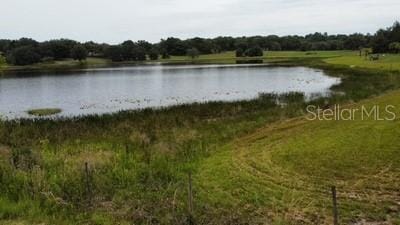 41827 N Emeralda Island Rd, Leesburg, FL 34788 - photo 3