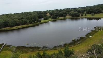 41827 N Emeralda Island Rd, Leesburg, FL 34788 - photo 4