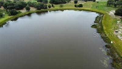 41827 N Emeralda Island Rd, Leesburg, FL 34788 - photo 5