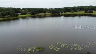 41827 N Emeralda Island Rd, Leesburg, FL 34788 - photo 6