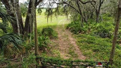 41827 N Emeralda Island Rd, Leesburg, FL 34788 - photo 10