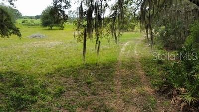 41827 N Emeralda Island Rd, Leesburg, FL 34788 - photo 12