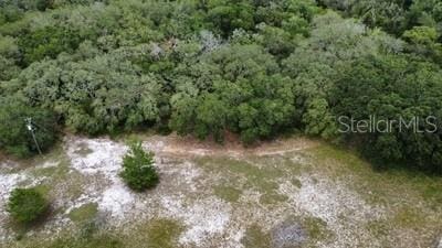 41827 N Emeralda Island Rd, Leesburg, FL 34788 - photo 15