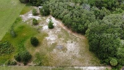 41827 N Emeralda Island Rd, Leesburg, FL 34788 - photo 17