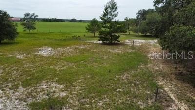 41827 N Emeralda Island Rd, Leesburg, FL 34788 - photo 11