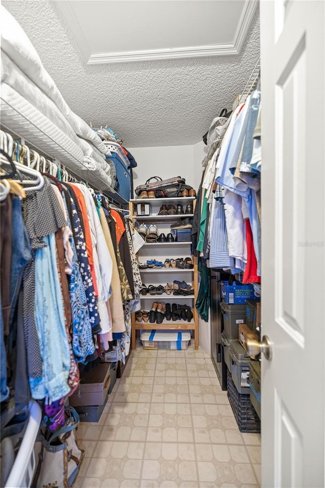 17533 SE 96th Ct, Summerfield, FL 34491 - spacious closet with tile patterned floors