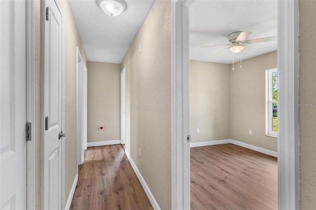 4 Kristin Ln, Eustis, FL 32726 - hallway with wood finished floors and baseboards