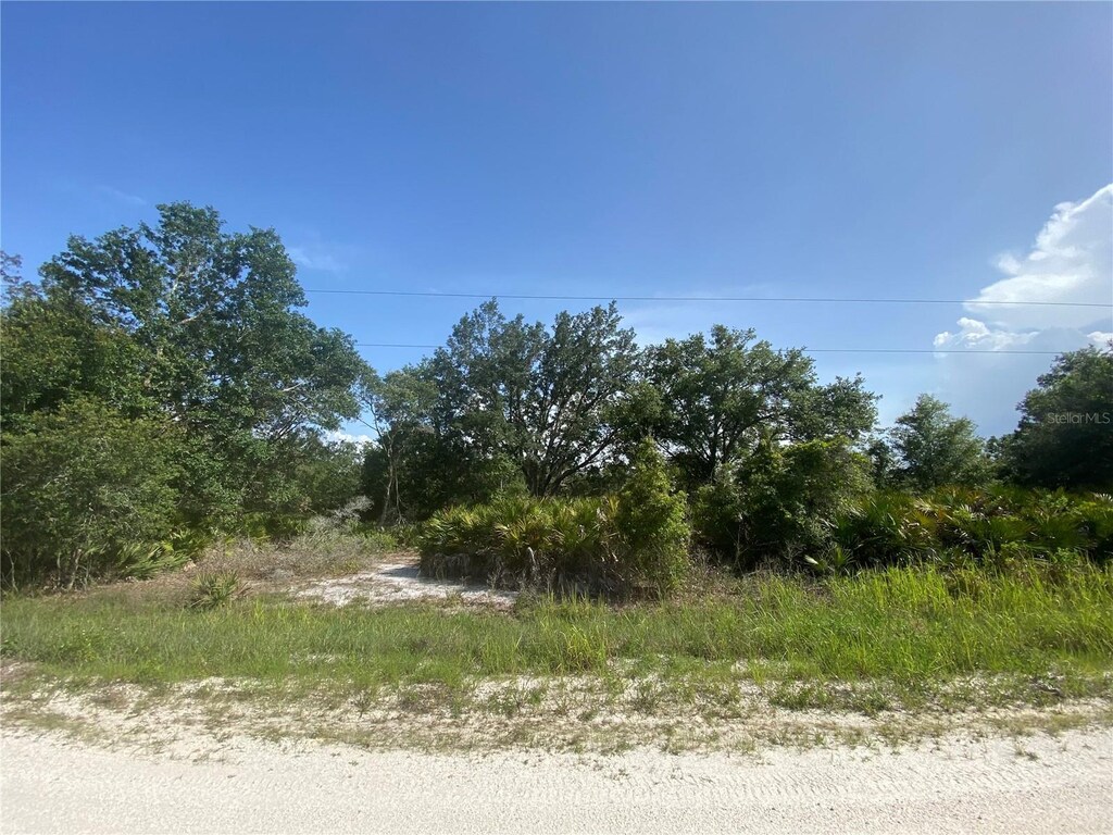 2511 W Tarkenton Rd, Avon Park, FL 33825