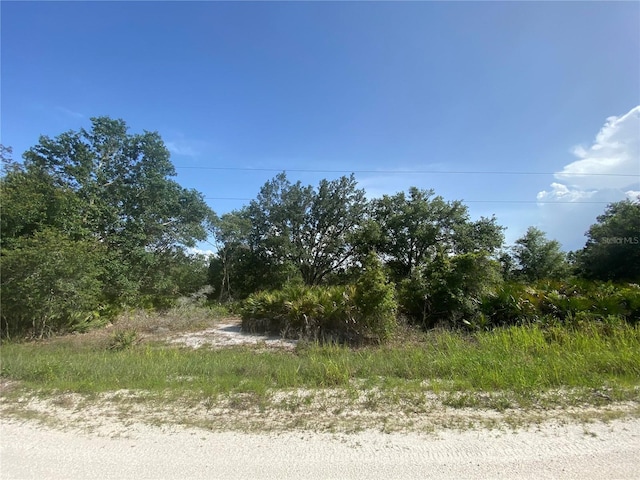 2511 W Tarkenton Rd, Avon Park, FL 33825
