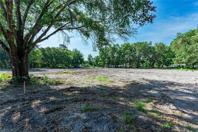SE 124th Ave, Webster, FL 33597 - photo 1