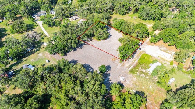 SE 124th Ave, Webster, FL 33597 - photo 3