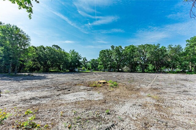 SE 124th Ave, Webster, FL 33597 - photo 4