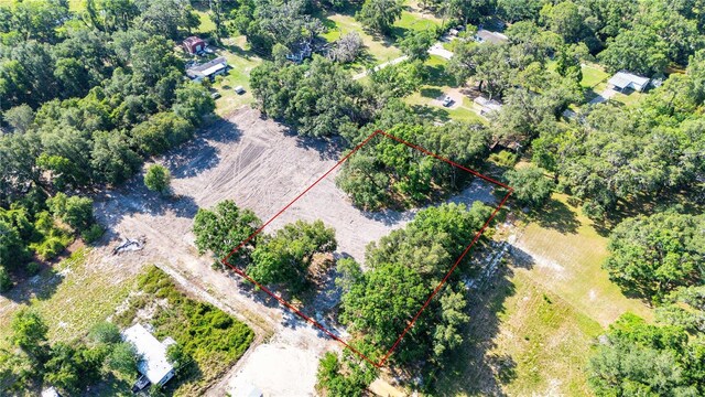 SE 124th Ave, Webster, FL 33597 - photo 5