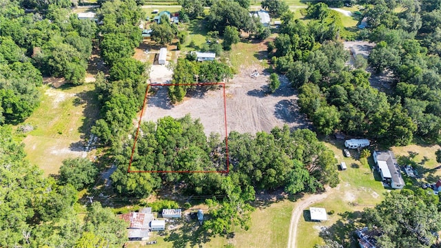 SE 124th Ave, Webster, FL 33597 - photo 8