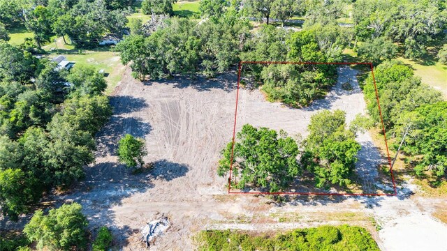 SE 124th Ave, Webster, FL 33597 - photo 9