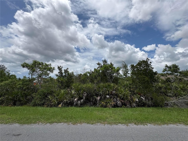 Ortega St Lot 291, Orlando, FL 32833 - photo 1