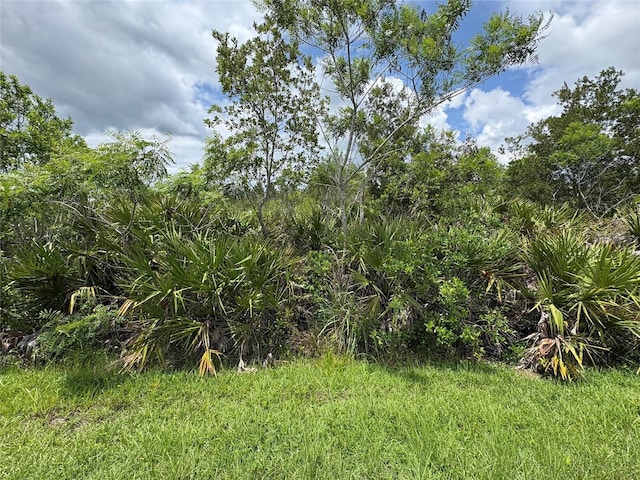 Ortega St Lot 291, Orlando, FL 32833 - photo 8