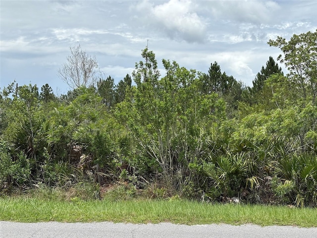 Ortega St Lot 291, Orlando, FL 32833 - photo 10