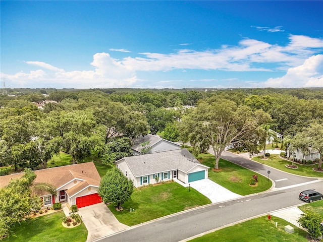 4800 Tara View Rd, Leesburg, FL 34748 - photo 12