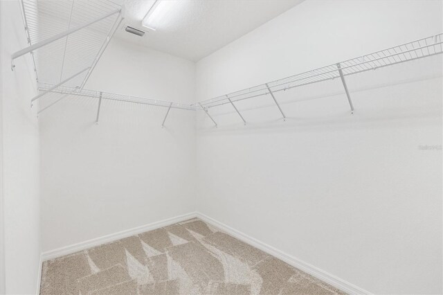4157 Tiedemann Loop, The Villages, FL 32163 - spacious closet featuring light carpet