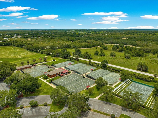 39145 Treeline Dr, Lady Lake, FL 32159 - bird's eye view of a forest