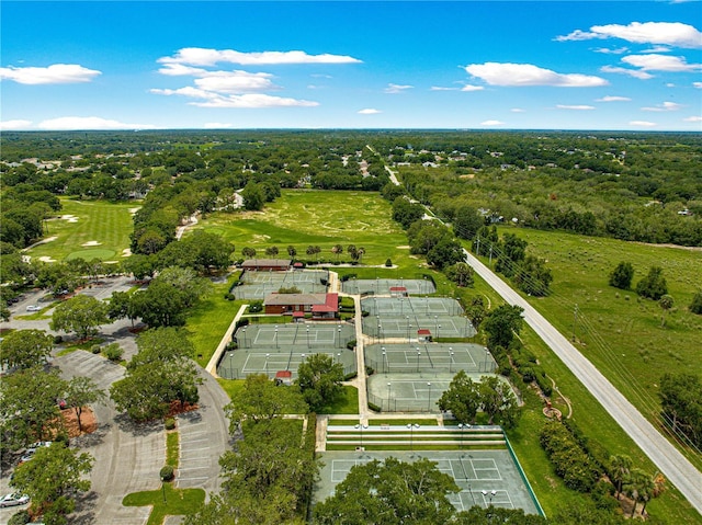 39145 Treeline Dr, Lady Lake, FL 32159 - aerial view