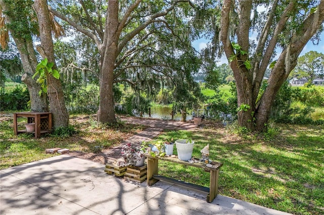 29152 David Ct, Tavares, FL 32778 - view of yard featuring a patio area