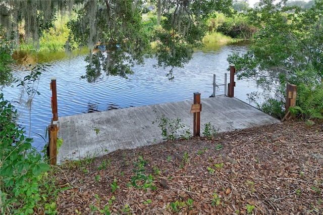 29152 David Ct, Tavares, FL 32778 - dock with a water view