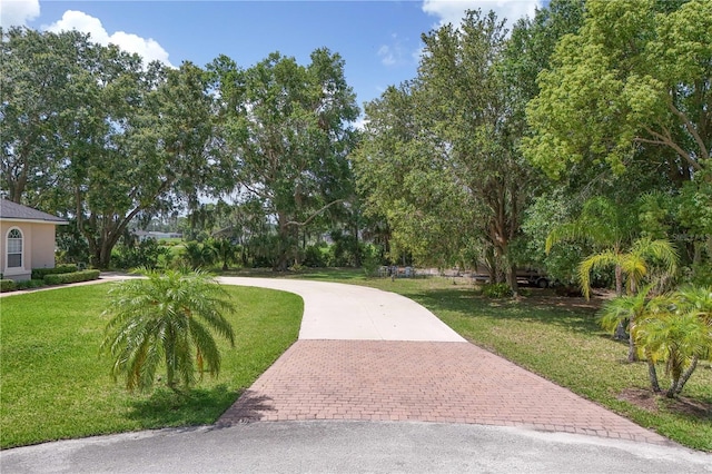 29152 David Ct, Tavares, FL 32778 - surrounding community with decorative driveway, a yard, and view of wooded area