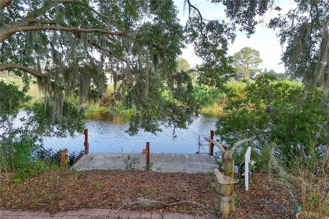 29152 David Ct, Tavares, FL 32778 - water view with a dock