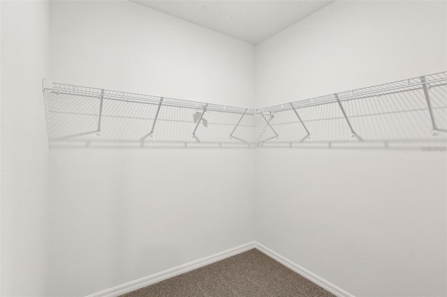 4973 Kaia Ave, Winter Haven, FL 33884 - walk in closet with dark colored carpet