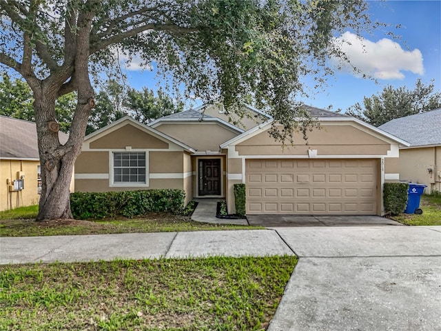 2019 Newtown Rd, Groveland, FL 34736 - photo 2