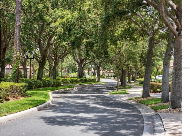 9335 San Jose Blvd, Howey In The Hills, FL 34737 - view of property's community