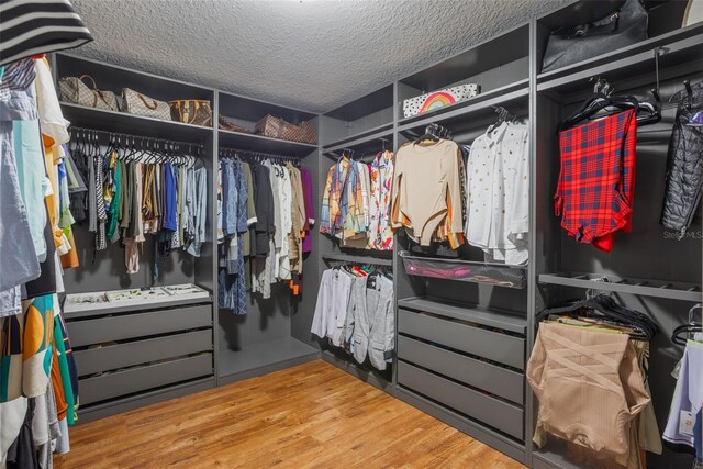 637 Neptune Dr, Groveland, FL 34736 - walk in closet with wood finished floors