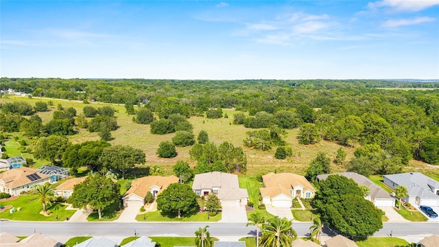 12947 SE 97th Terrace Rd, Summerfield, FL 34491 - photo 56