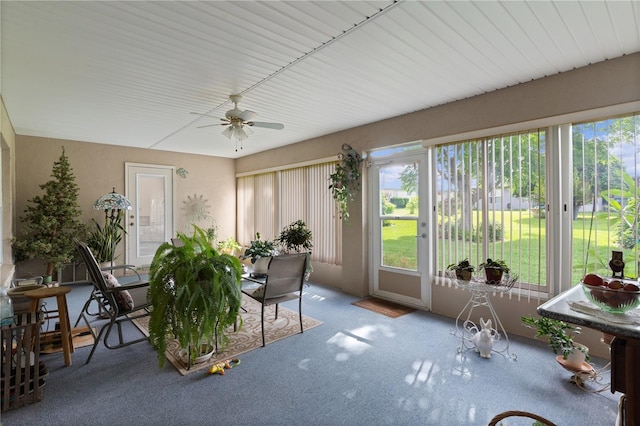 17355 SE 110th Ter, Summerfield, FL 34491 - sunroom with healthy amount of natural light