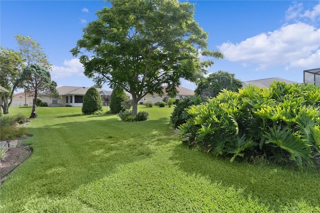 17355 SE 110th Ter, Summerfield, FL 34491 - view of green lawn