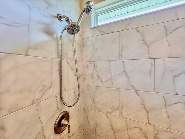3021 King Palm Dr, New Smyrna Beach, FL 32168 - bathroom view of tiled shower