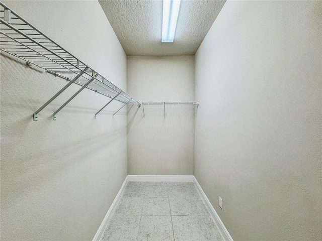 3021 King Palm Dr, New Smyrna Beach, FL 32168 - view of spacious closet