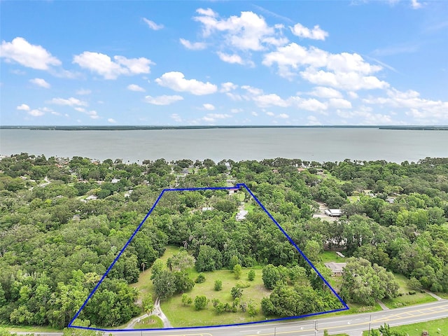 27113 Robertson Rd, Yalaha, FL 34797 - view of property location featuring property parcel outlined and a large body of water