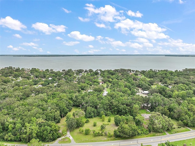 27113 Robertson Rd, Yalaha, FL 34797 - aerial view of a large body of water