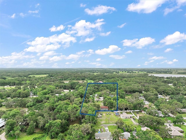 27113 Robertson Rd, Yalaha, FL 34797 - aerial view of property and surrounding area featuring a forest and property parcel outlined