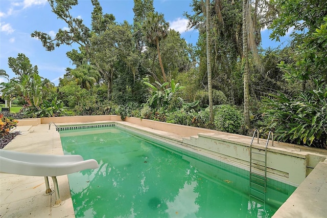 27113 Robertson Rd, Yalaha, FL 34797 - swimming pool featuring a water slide
