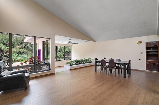 27113 Robertson Rd, Yalaha, FL 34797 - dining room featuring wood finished floors, a ceiling fan, and high vaulted ceiling