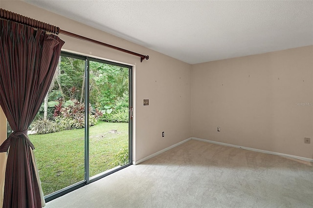 27113 Robertson Rd, Yalaha, FL 34797 - spare room featuring light carpet and baseboards