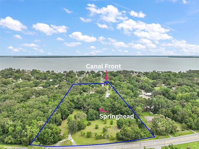 27113 Robertson Rd, Yalaha, FL 34797 - aerial view of property's location featuring property boundaries highlighted and a large body of water