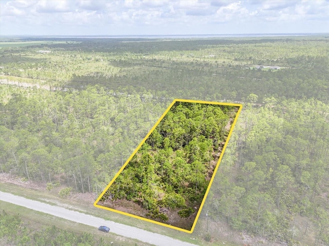 LOT61 Meadow Lark Blvd, Lake Wales, FL 33898