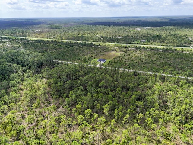 LOT61 Meadow Lark Blvd, Lake Wales, FL 33898 - photo 7