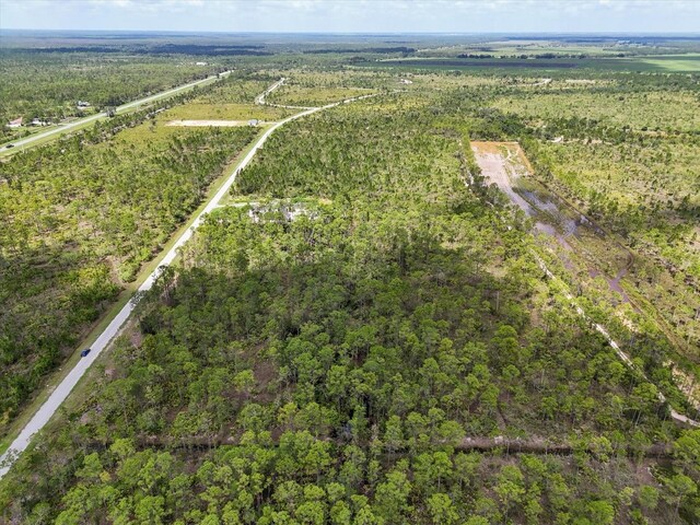 LOT61 Meadow Lark Blvd, Lake Wales, FL 33898 - photo 9
