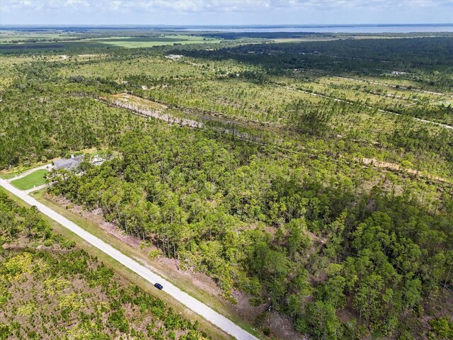 LOT61 Meadow Lark Blvd, Lake Wales, FL 33898 - photo 10